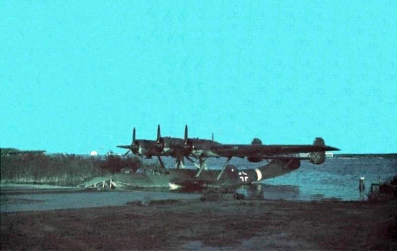 Dornier Do 24 in Romania, 1941