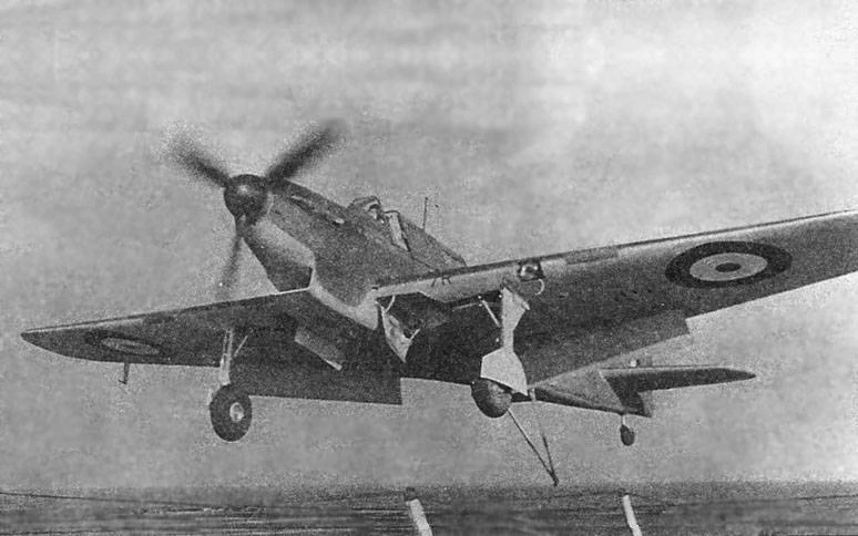 Fulmar Mk I  in atterraggio