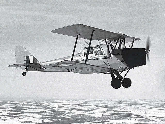 Tiger Moth canadese